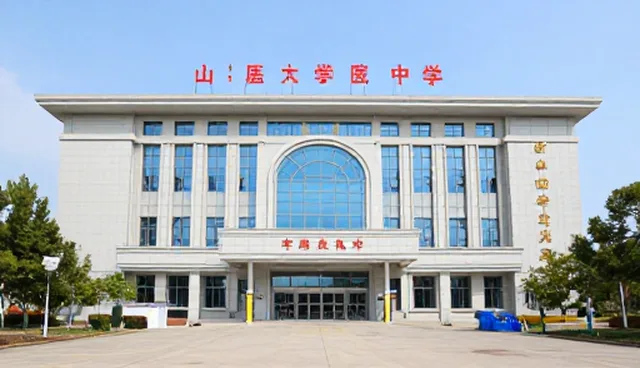 智慧医疗系统性能在实际应用中的关键作用